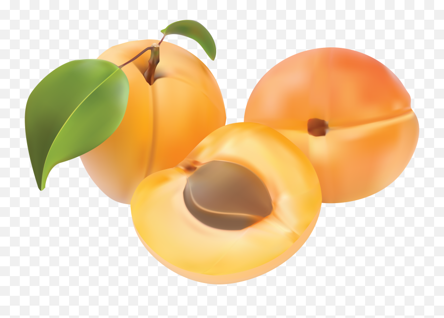 Peaches Clipart Orange Picture 1851547 Peaches Clipart Orange - Apricot Clipart Emoji,Apricot Emoji