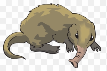Nase Vektorgrafiken - Elephant Shrew Clipart Emoji,Jet Emoji