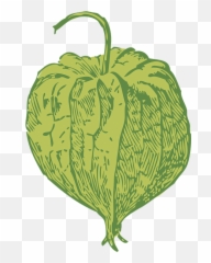 Free Cherry Fruit Vectors - Tomatillo Clipart Emoji,Cherry Blossom Emoticon