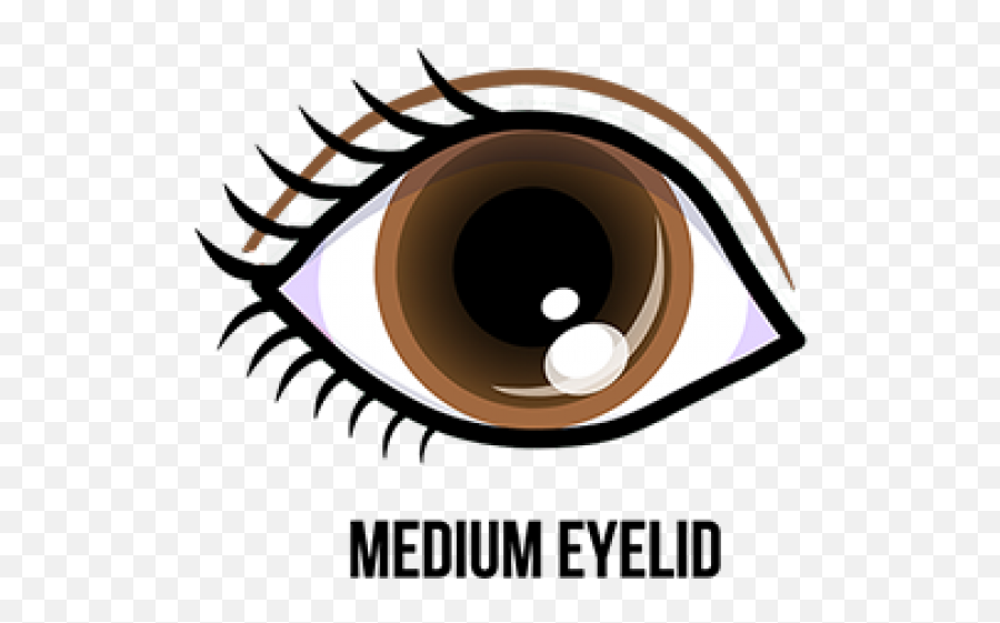 Eyelash Clipart Eye Lid - Cartoon Brown Eyes Png Download Brown Eye Clipart Emoji,Eyeballs Emoji