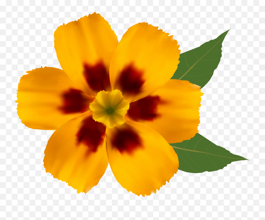 Yellow Flower Png Clipart - Transparent Background Real Flower Clipart Emoji,Yellow Flower Emoji