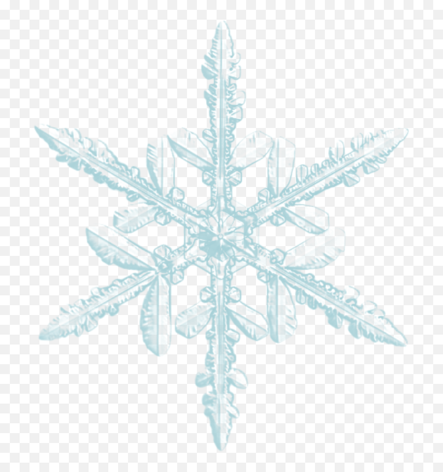 Snowflake Snow Snowflakes Realistic Winter Christmas - Symmetry In Nature Snowflake Emoji,Snowflake Emoji