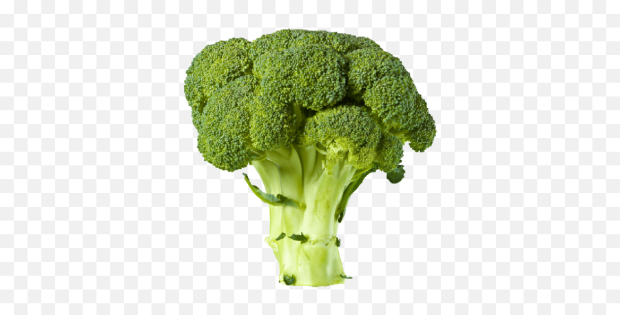 Free Png Images - Broccoli Transparent Png Emoji,Broccoli Emoji