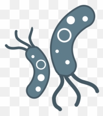 Bacteria Emoji Transparent Png - Background Clipart