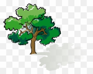 Vector Clip Art Of Colored Oak Tree - Trees Drawing With Color Emoji,Palm Tree Emoticon