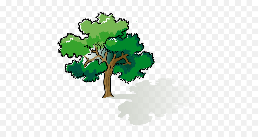 Vector Clip Art Of Colored Oak Tree - Trees Drawing With Color Emoji,Palm Tree Emoticon