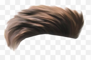 Wig Peluca Hair Menhair Hairstyles - Picsart Hair Png Boy Emoji,Emoji Haircut