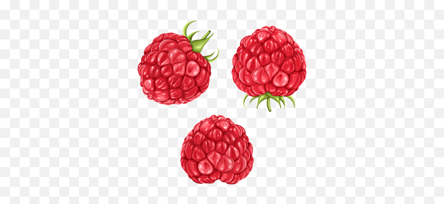 Free Vectors Graphics Psd Files - Raspberries Clipart Transparent Background Emoji,Raspberries Emoji