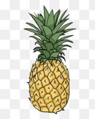 Pineapple Clipart Fancy Picture 168367 Pineapple Clipart Fancy - Pine Apple Drawing Png Emoji,Pineapple Emoji