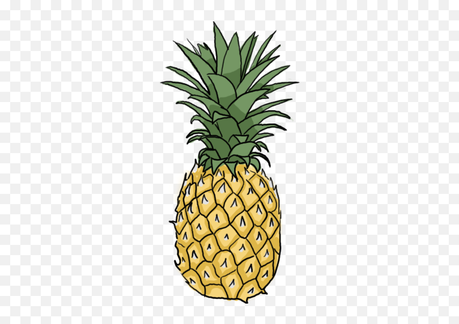 Pineapple Clipart Fancy Picture 168367 Pineapple Clipart Fancy - Pine Apple Drawing Png Emoji,Pineapple Emoji
