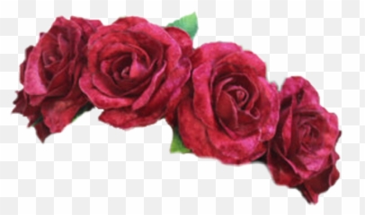 red flower crown png - flowercrown Rose Red Flower Crown Png Emoji