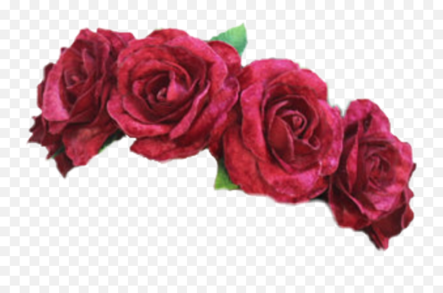 Red Flower Crown Png - Flower Crown Flowercrown Rose Red Flower Crown Png Emoji,Red Rose Emoji