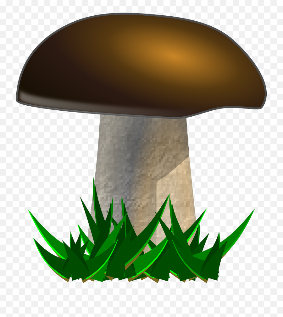 Mushroom Yellow Boletus Boletus Plant - Clipart Free Mushroom Emoji,Weed Plant Emoji