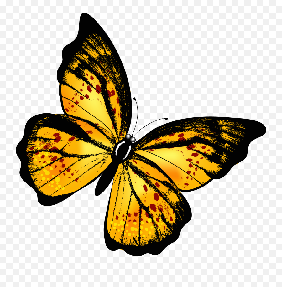 Butterfly Purple Transparent Purple - Transparent Background Yellow Butterfly Png Emoji,Butterfly Emoji