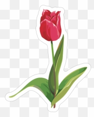 Short Pink Tulip Flower Sticker - Tulip Emoji,Tulip Emoji