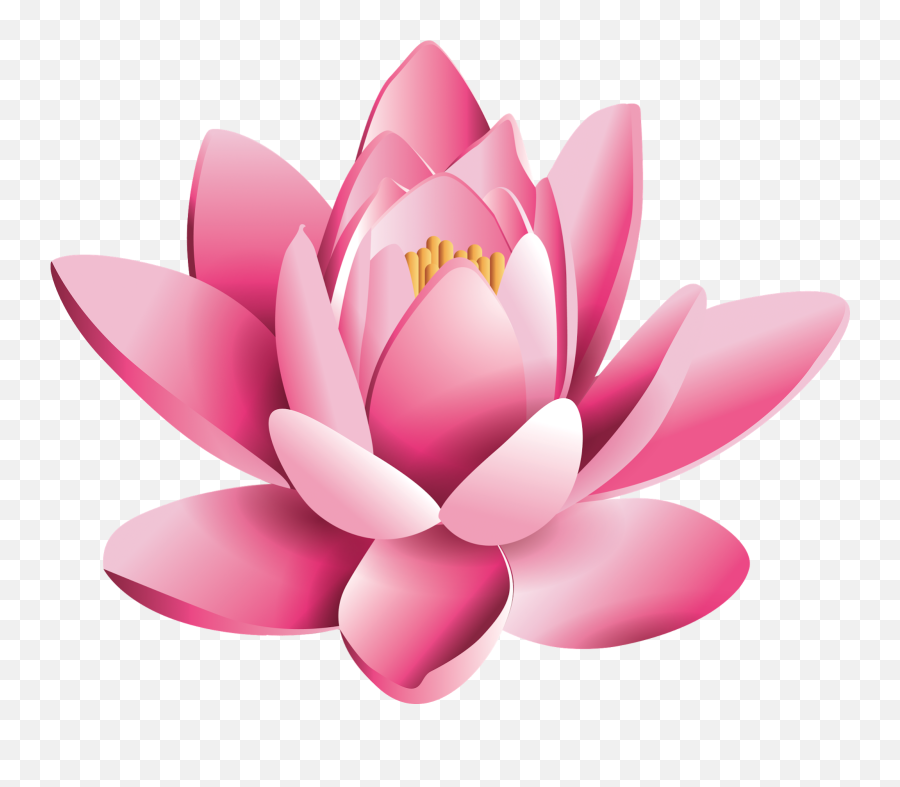 Transparent Background Lotus Flower Clipart - Lotus Flower Png Transparent Emoji,Lotus Flower Emoji