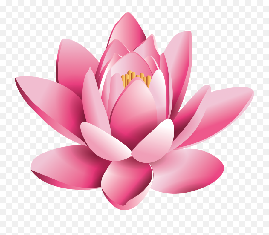 Transparent Background Lotus Flower Clipart Lotus Flower Png Transparent Emoji Lotus Flower Emoji Free Transparent Emoji Emojipng Com