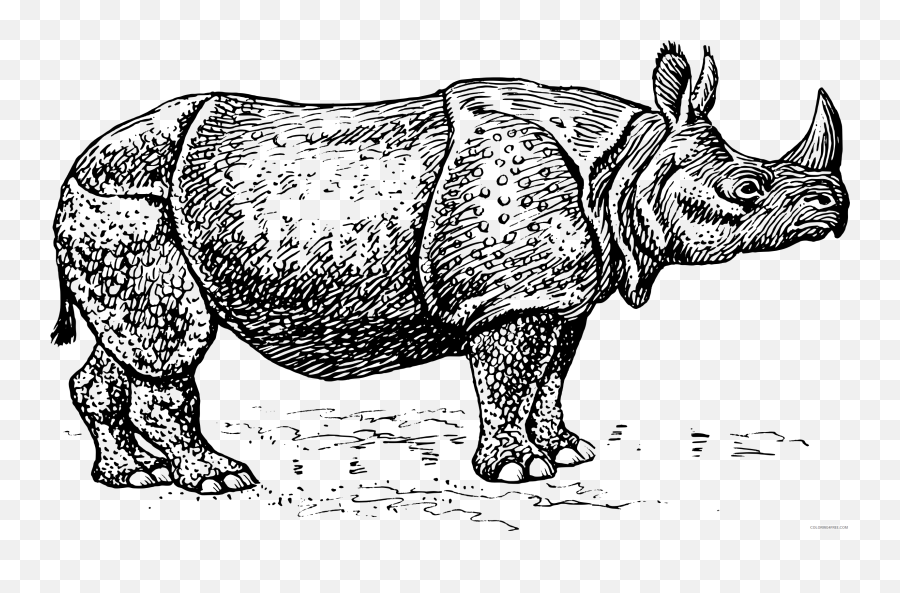 Rhinoceros Coloring Pages Rhinoceros - Javan Rhino Black And White Emoji,Rhino Emoji