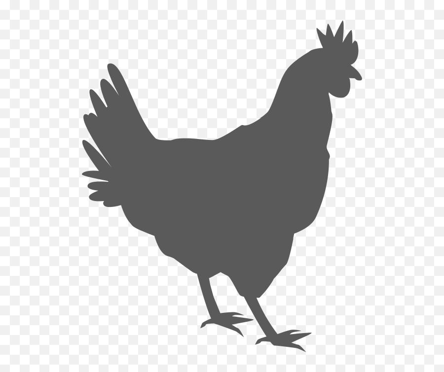 Hen Black And White Silhouette Free Svg - Chicken Silhouette Png Emoji,Hen Emoji