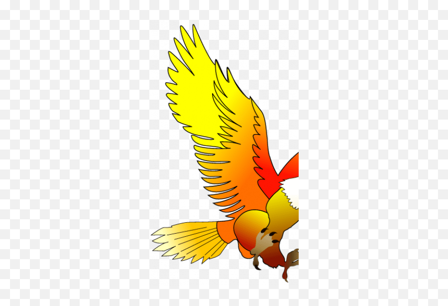 King Bird Ksa Kingbirdksa Kbksa - King Bird Ksa Emoji,Cheesehead Emoji