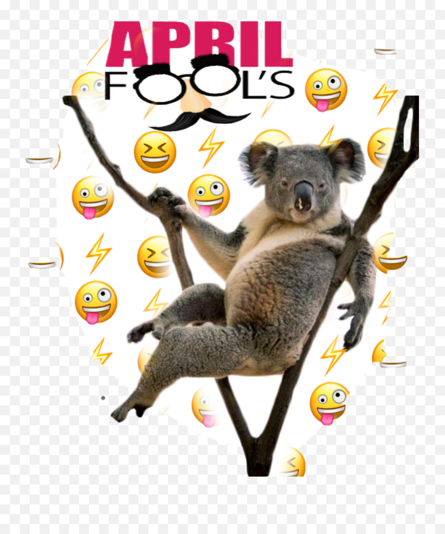 The Newest Koala Stickers Emoji,Koala Emoticon