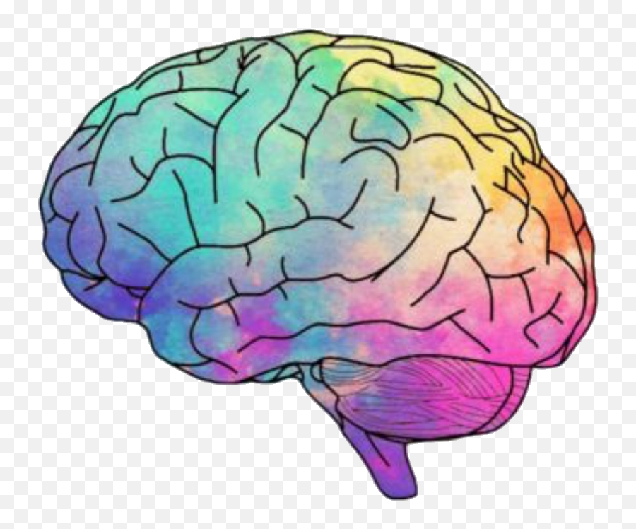 Transparent Clipart Brain Png - Brain Transparent Background Emoji,Cauliflower Emoji