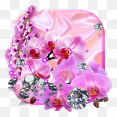 Orchids Live Wallpaper - U200c Google Play Moth Orchid Emoji,Orchid Emoji