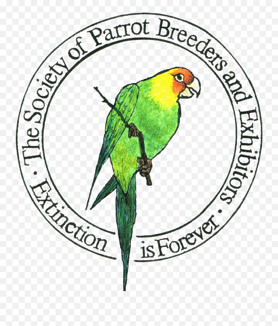 Download Clipart Transparent Stock A - Parakeet Emoji,Parakeet Emoji