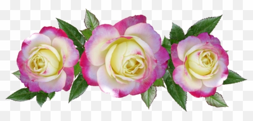 Free Delight Candy Images - Floribunda Emoji,Eye Roll Emoji