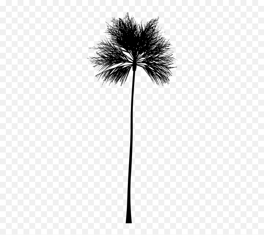 Free Palm Trees Beach Vectors - Tropical Tree Vector Png Emoji,Disney Emoji Stickers