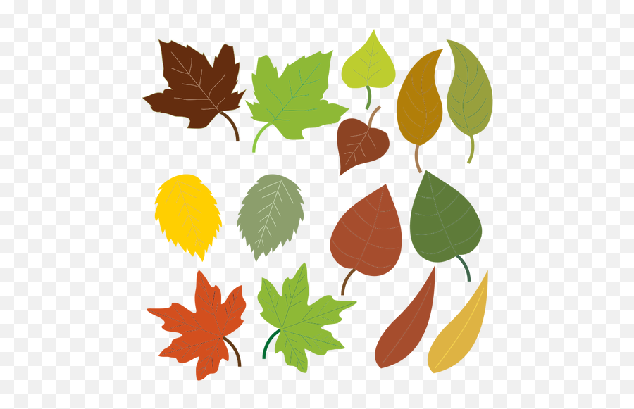 Variety Of Leaves - Types Of Leaves Clipart Emoji,Falling Leaves Emoji