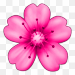 Flowers Floweremoji Pink Pinkemoji Pinkemojis Emoji - Png