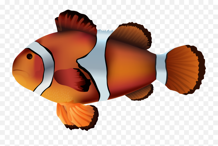 Clown Fish Clipart Png - Transparent Clownfish Clipart Emoji,Clown Fish Emoji