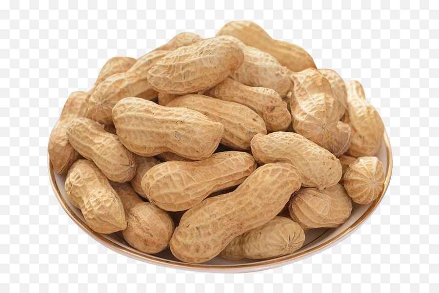 Peanut Production In China Food - Peanut Butter Png Download Peanuts Png Transparent Emoji,Nuts Emoji