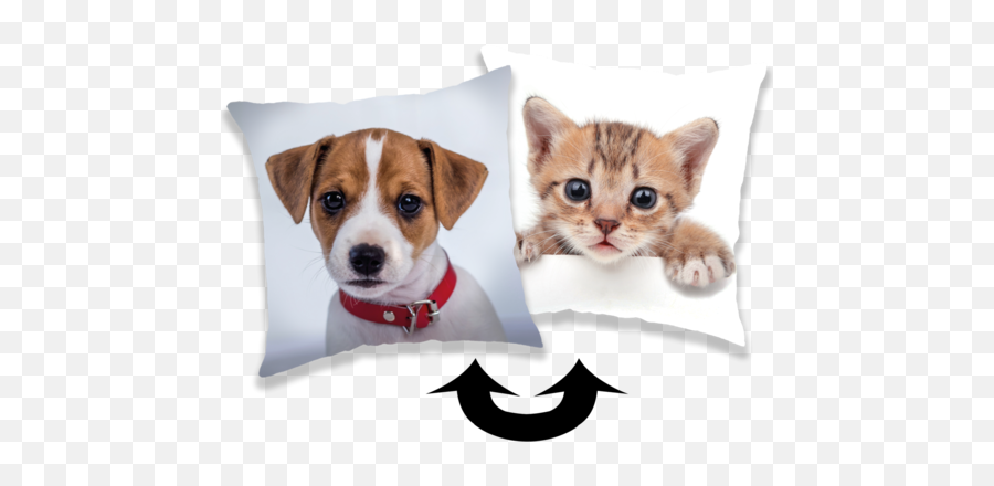 Photoprints Sweet Home Jerry Fabrics - 3d Povleení Psi Emoji,Horse Emoji Pillow