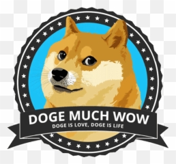 Best Doggo Trading Cards Doge Much Wow - Hokkaido Emoji,Doge Emoticon