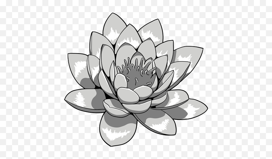 Lotus Flower Black And White Png Transpa 138029 - Png Lotus Flower Tattoo Png Emoji,Japanese Emoji Flower