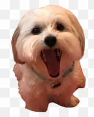 Popular and Trending laughingdog Stickers on PicsArt - Dog Yawns Emoji