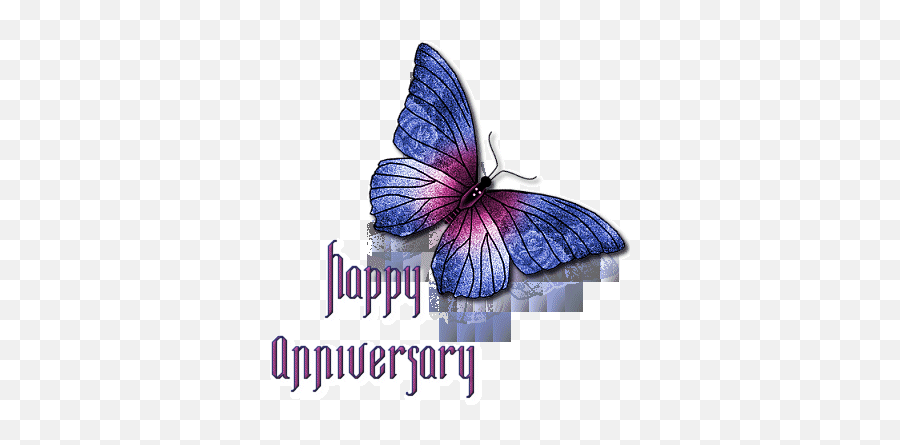 My Name Pix Marriage Day Wishes - Happy Anniversary With Butterflies Emoji,Happy Anniversary Emoji