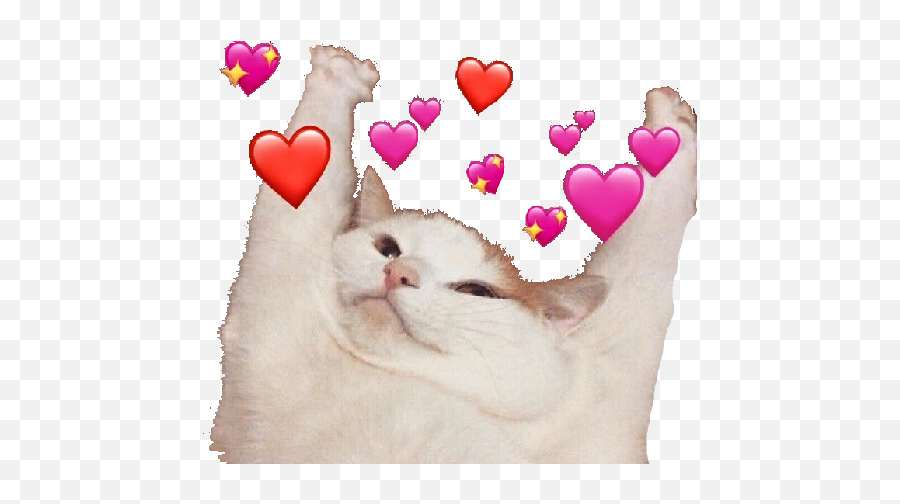 Love Cute Cat Gato Meme Heart Hearts Sticker Whatsapp - Luv Wu Emoji,Heart Emoji Memes