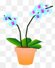 Flower Stickers For Android Ios - Animated Orchid Plant Transparent Gif Emoji,Orchid Emoji