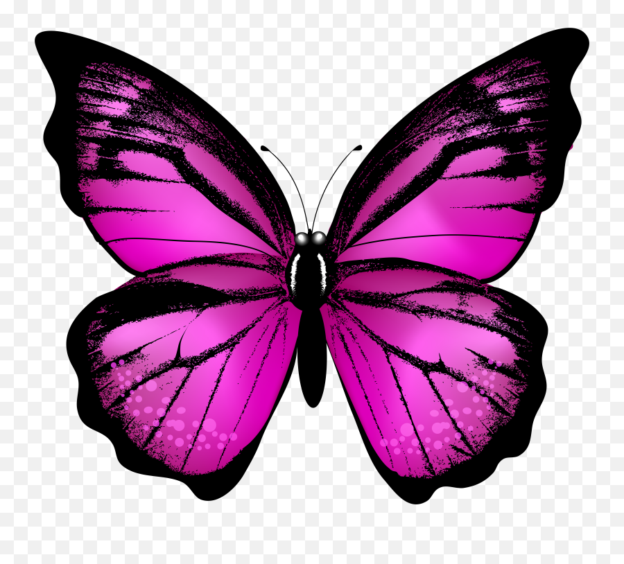 Clipart Transparent Background Butterfly Emoji,Butterfly Emoji