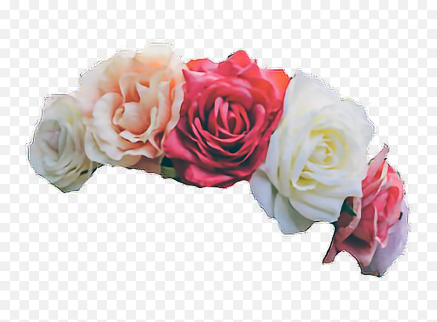 Red Flower Crown Png - Wreath Flower Crown Pink Png Image Flower Crowns Transparent Background Emoji,Red Flower Emoji