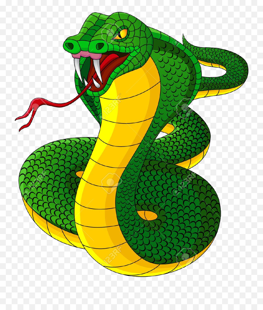 Cobra Snakes Clipart - Green Mamba Clip Art Png Download Cobra Snake Transparent Background Emoji,Snake Emoji