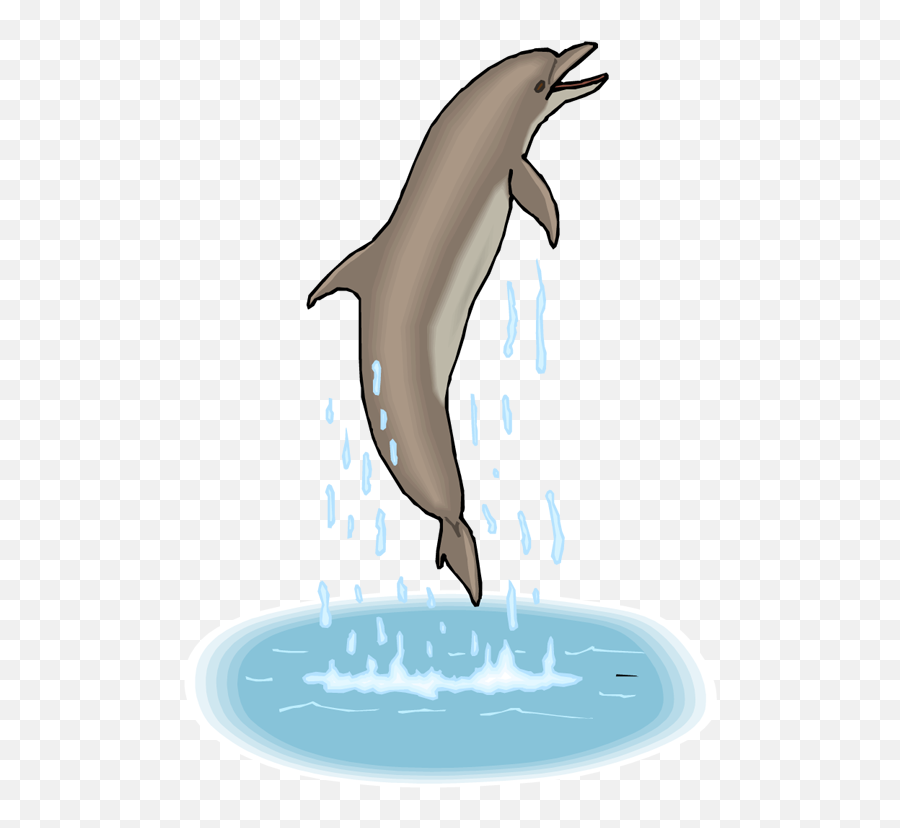 Dolphin Dance - Clipart Dolphin Jumping Gif Emoji,Miami Dolphins Emoji