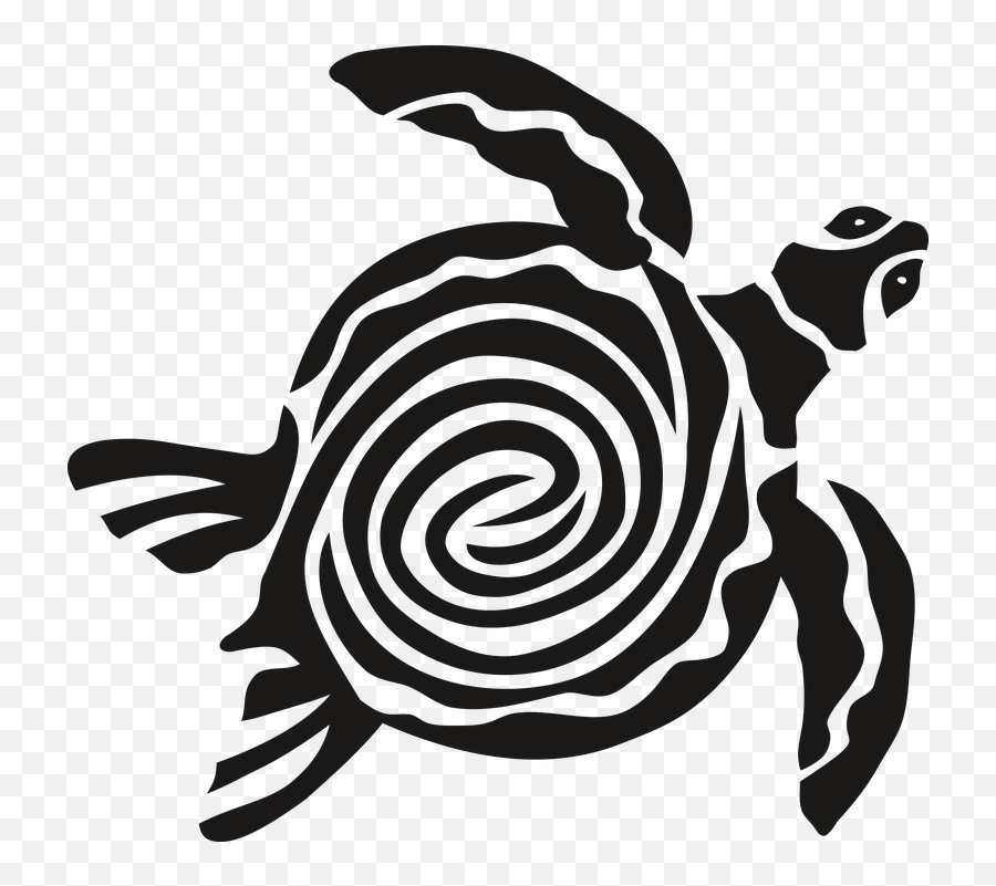 Turtle Gad Sea Turtle No - Tartaruga Marinha Vetor Png Emoji,Turtle Skull Emoji