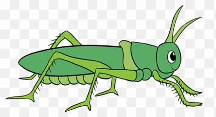 How To Draw A Grasshopper - Grasshopper Clipart Png Emoji,Crickets Emoji