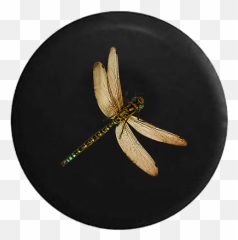 Spare Tire Cover Realistic Dragonfly Jk - Insects Emoji,Dragonfly Emoji