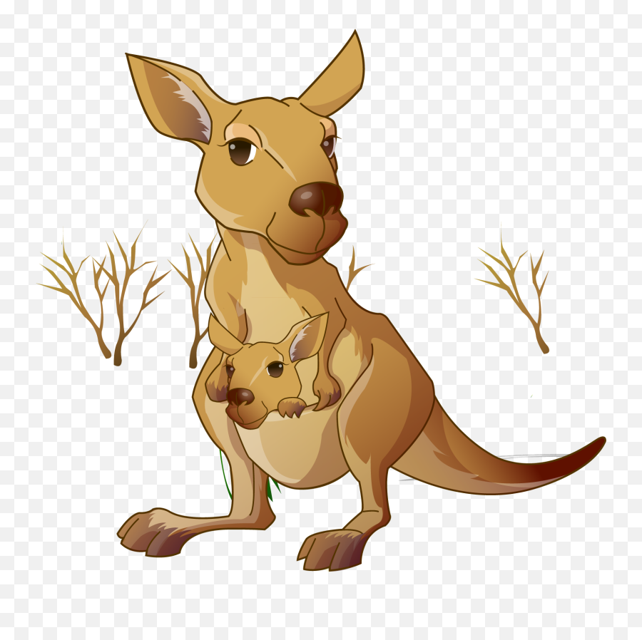 Animal Body Parts - Baamboozle Pouch Animal Png Emoji,Kangaroo Emoji