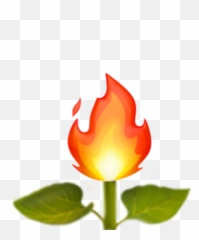 Apple Emoji Appleemoji Fire - Flame